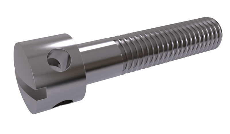 Slotted Capstan Screws