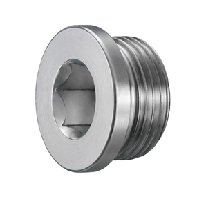 Hex Socket Pipe Plug